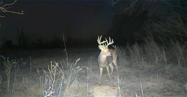 $235,000 | 0 Lone Star Road, Paola, KS 66071