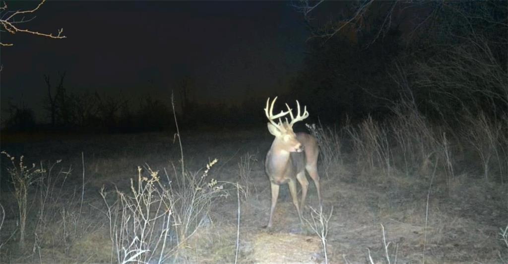 0 Lone Star Road Paola, KS 66071 - Photo 60 of 60