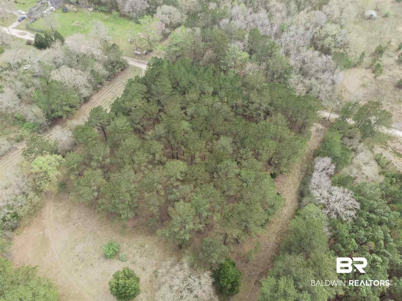 1000 Grimsley Road Creola, AL 36525 - Photo 3 of 15