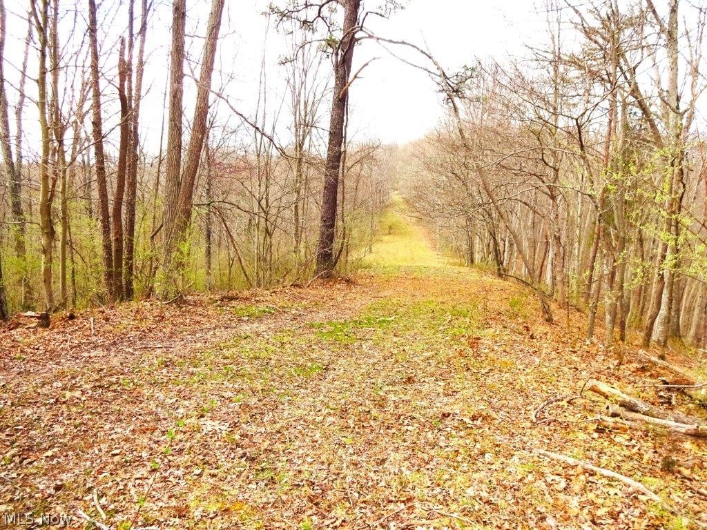 3265 Parkersburg Road Reedy, WV 25270 - Photo 23 of 28