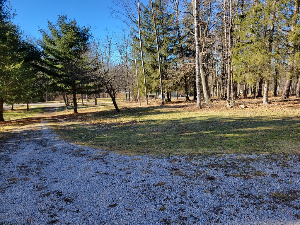 246 Schrecengost Road Marienville, PA 16239 - Photo 12 of 14