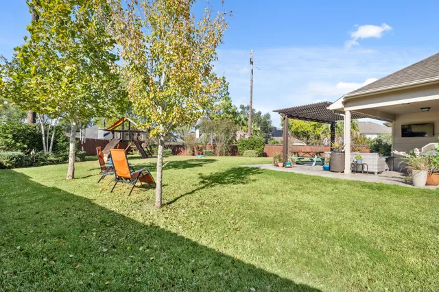 a view of a park with bench and a large tree