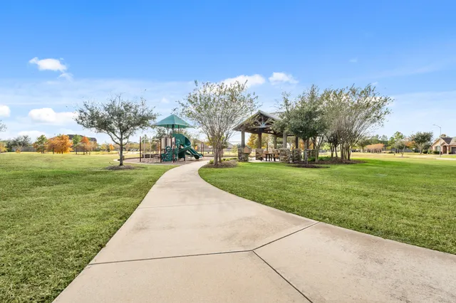 a view of a park with large trees