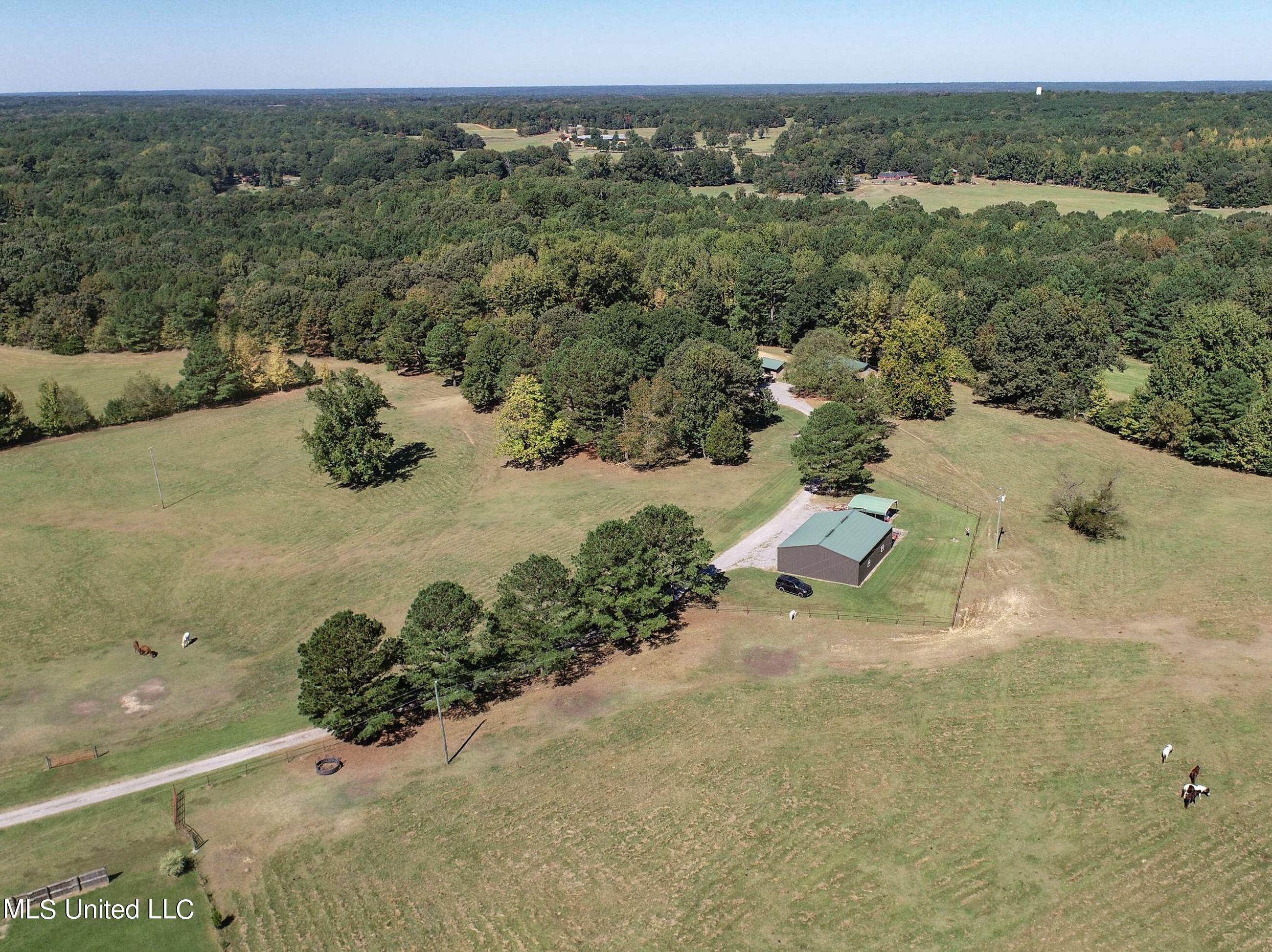 2433 John Branch Road Sardis, MS 38666 - Photo 13 of 172 2.1dvjb17