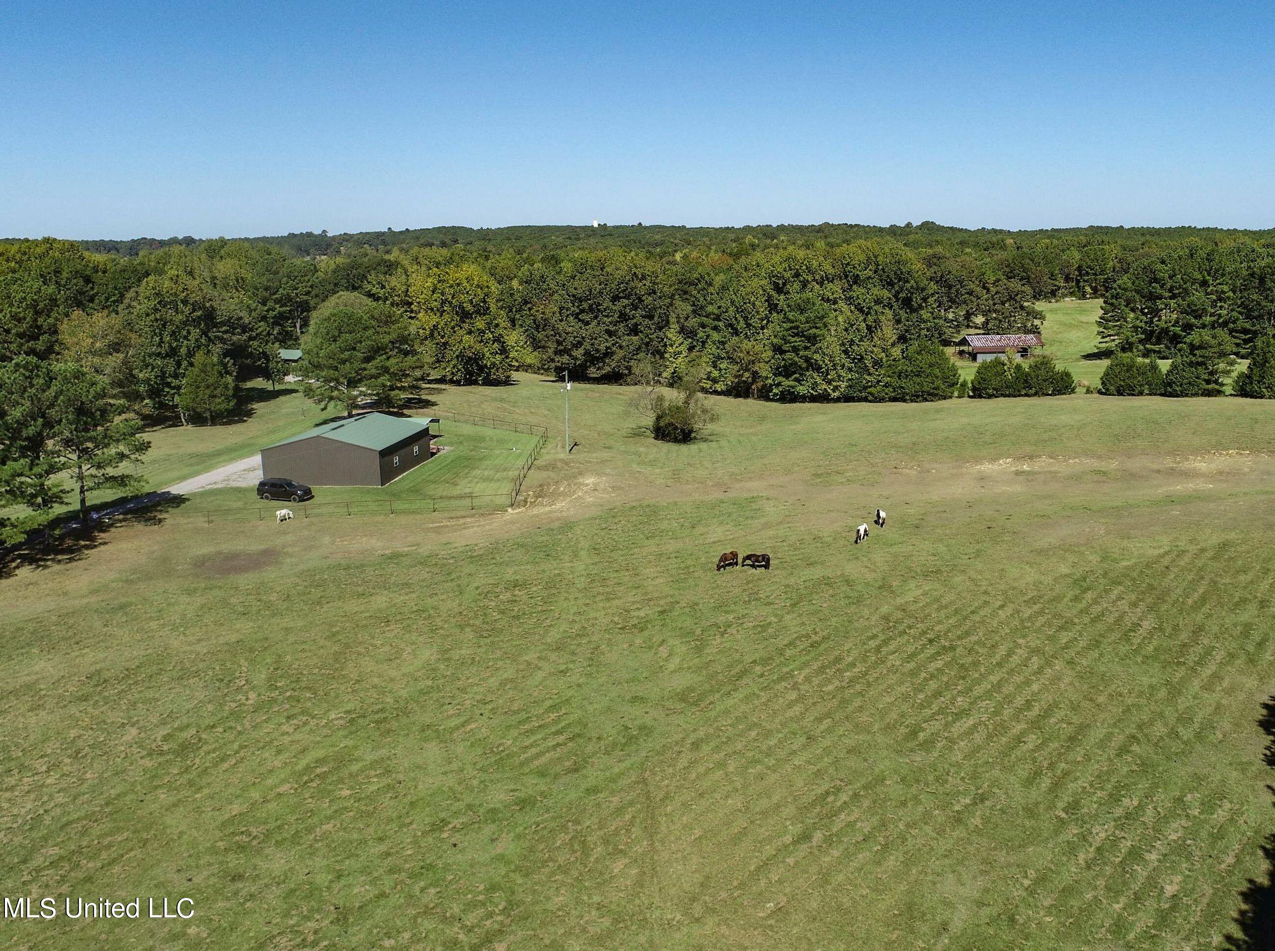 2433 John Branch Road Sardis, MS 38666 - Photo 16 of 172 2.1dvjb22