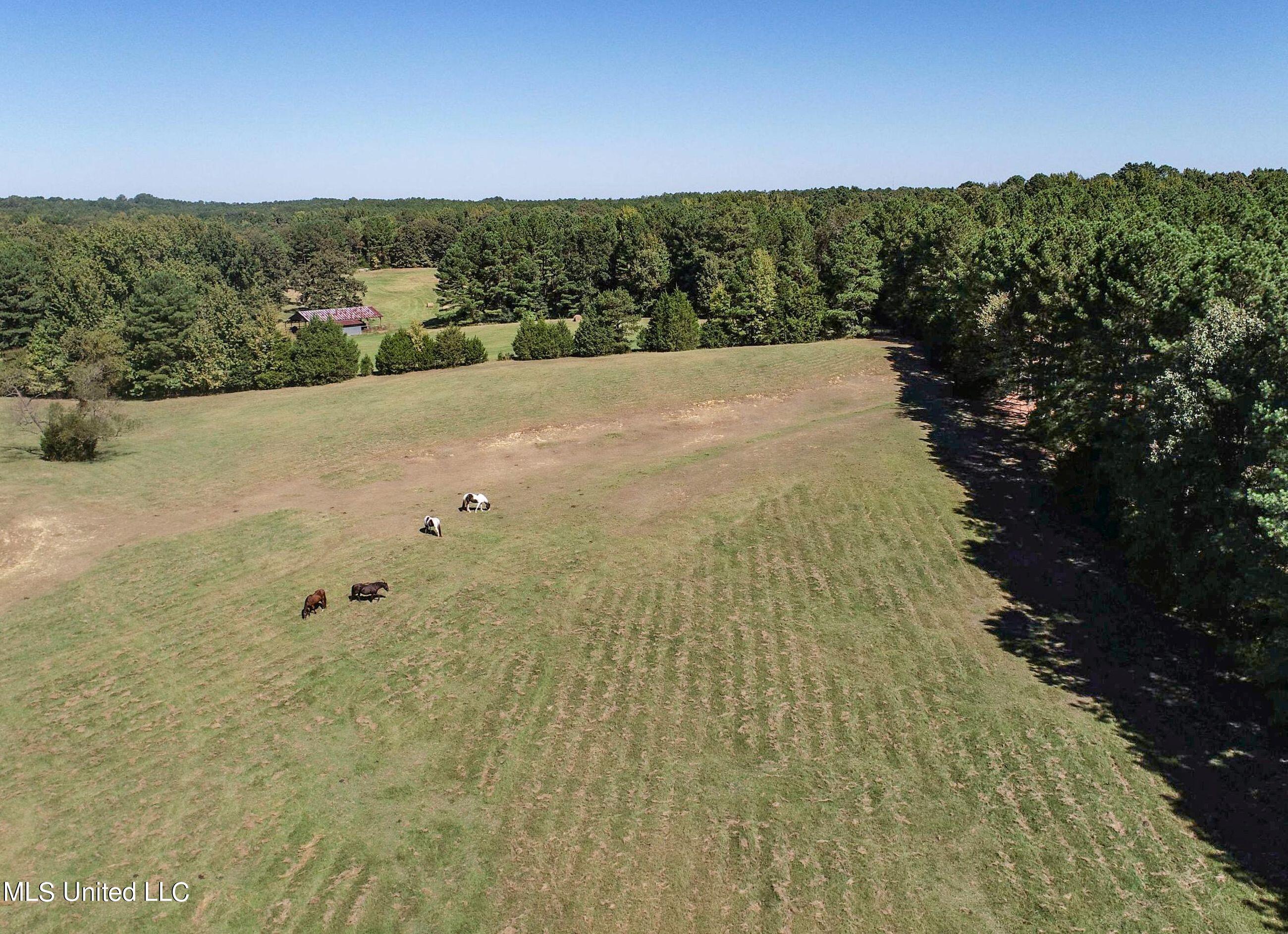 2433 John Branch Road Sardis, MS 38666 - Photo 17 of 172 2.1dvjb25
