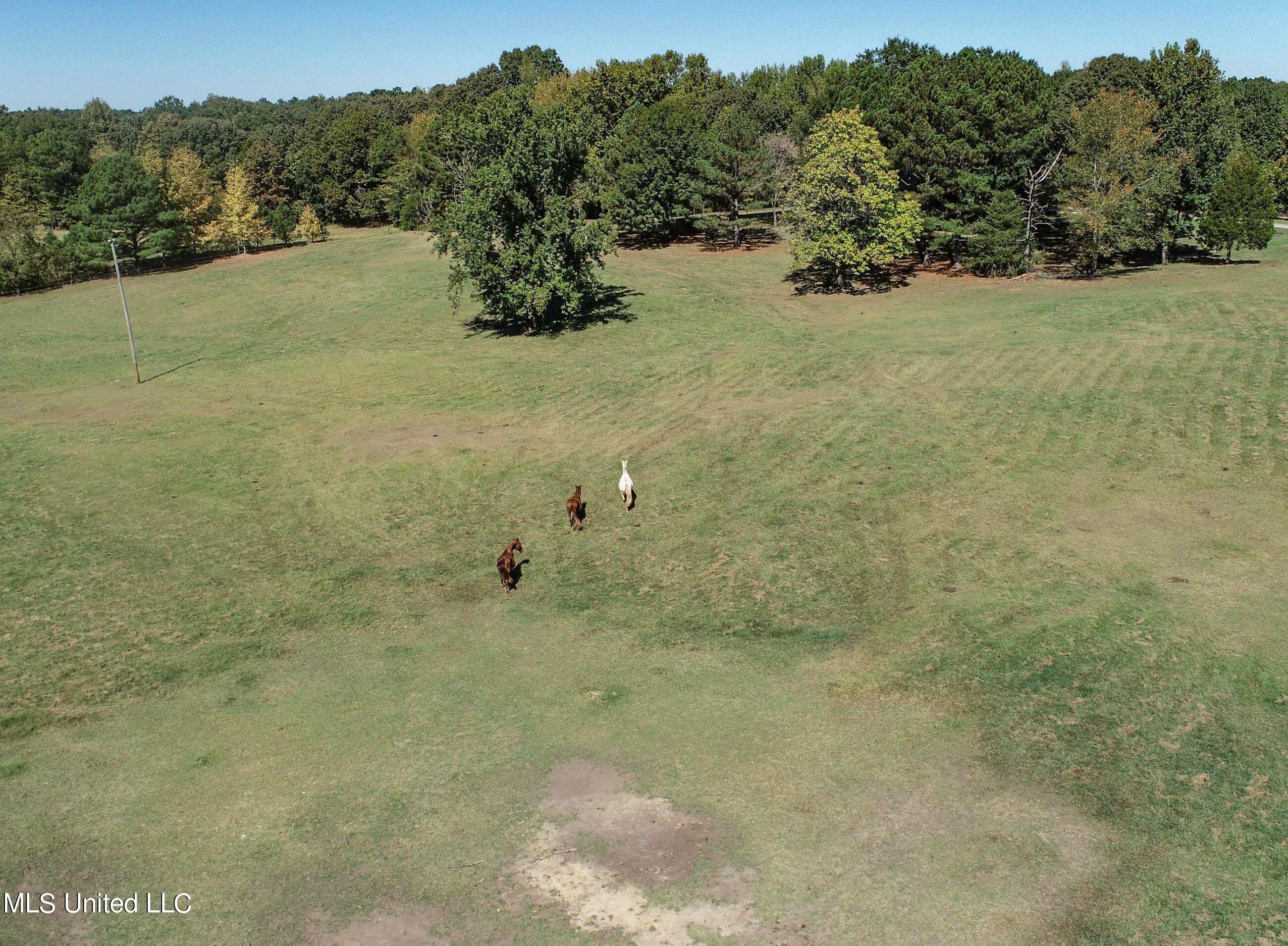 2433 John Branch Road Sardis, MS 38666 - Photo 18 of 172 2.1dvjb26