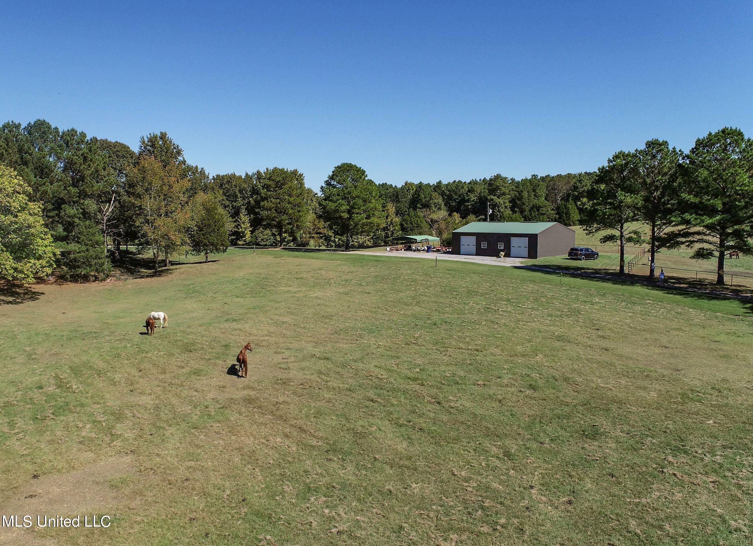 2433 John Branch Road Sardis, MS 38666 - Photo 19 of 172 2.1dvjb29