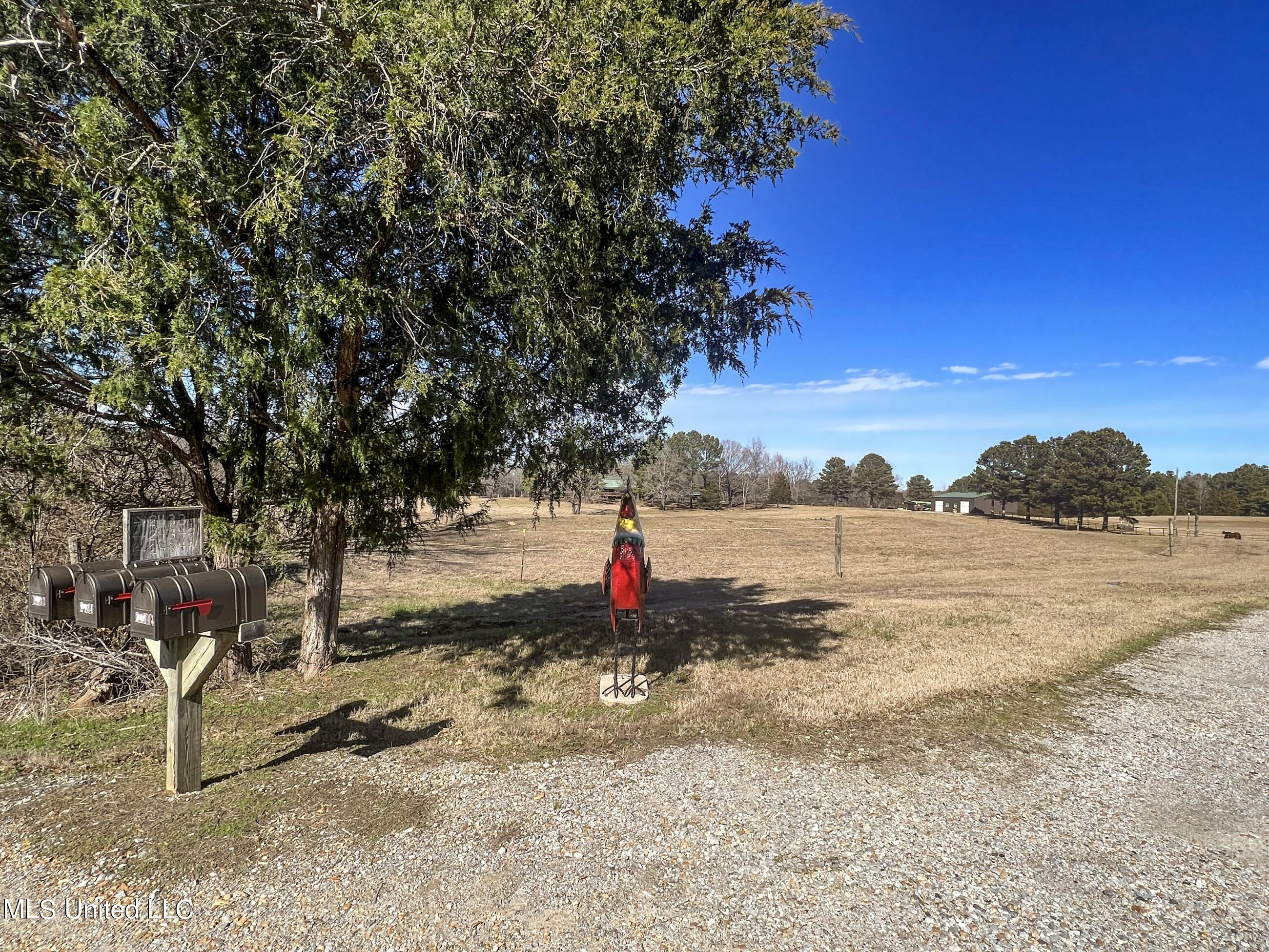 2433 John Branch Road Sardis, MS 38666 - Photo 34 of 172 2dvjb2b.1