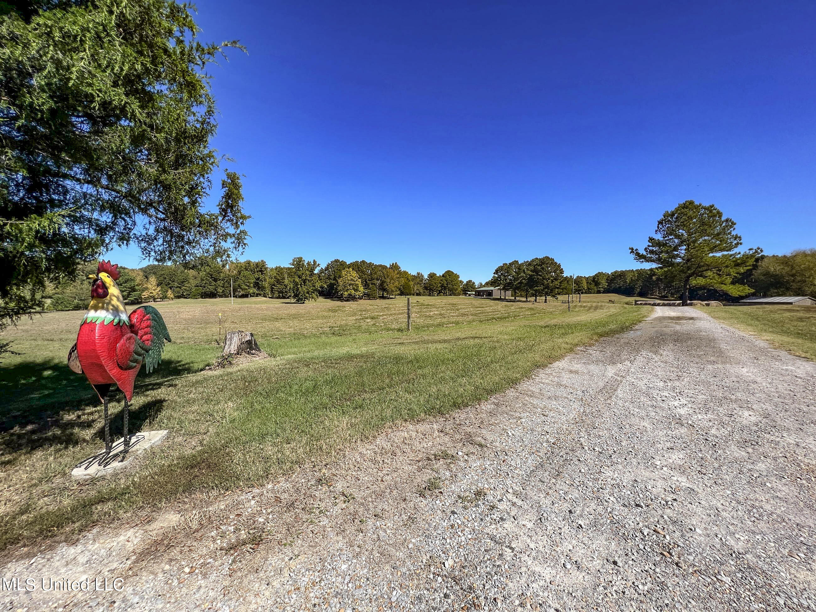2433 John Branch Road Sardis, MS 38666 - Photo 35 of 172 2dvjb2b