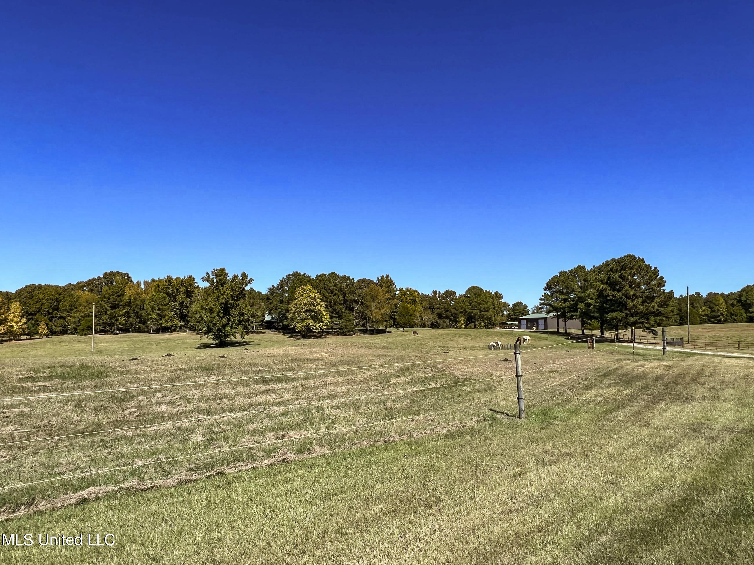 2433 John Branch Road Sardis, MS 38666 - Photo 36 of 172 2dvjb2b3