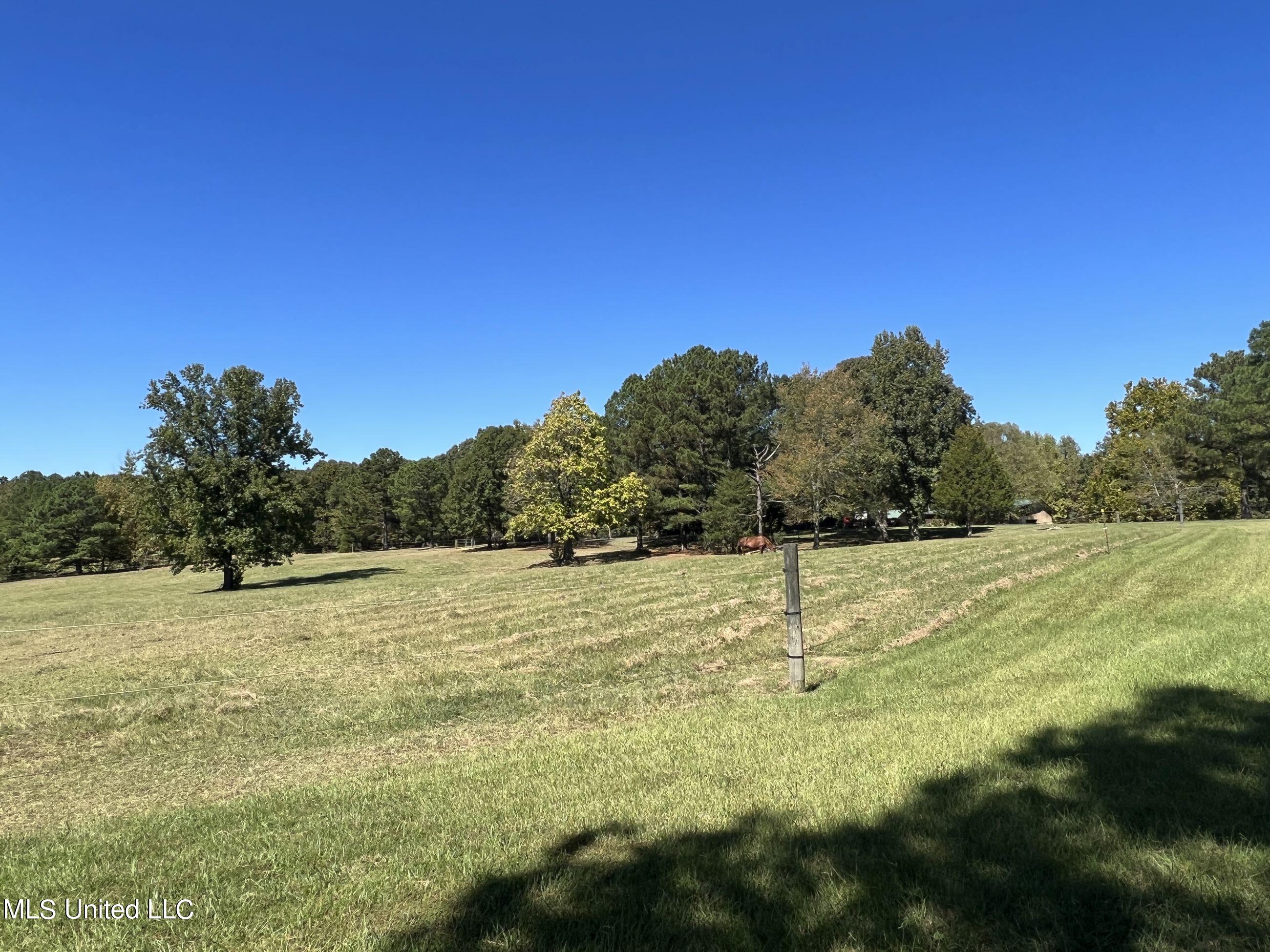2433 John Branch Road Sardis, MS 38666 - Photo 37 of 172 2dvjb2b4