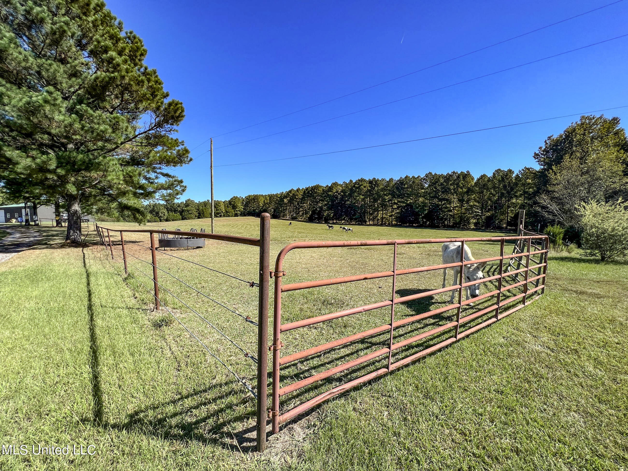 2433 John Branch Road Sardis, MS 38666 - Photo 38 of 172 2dvjb12