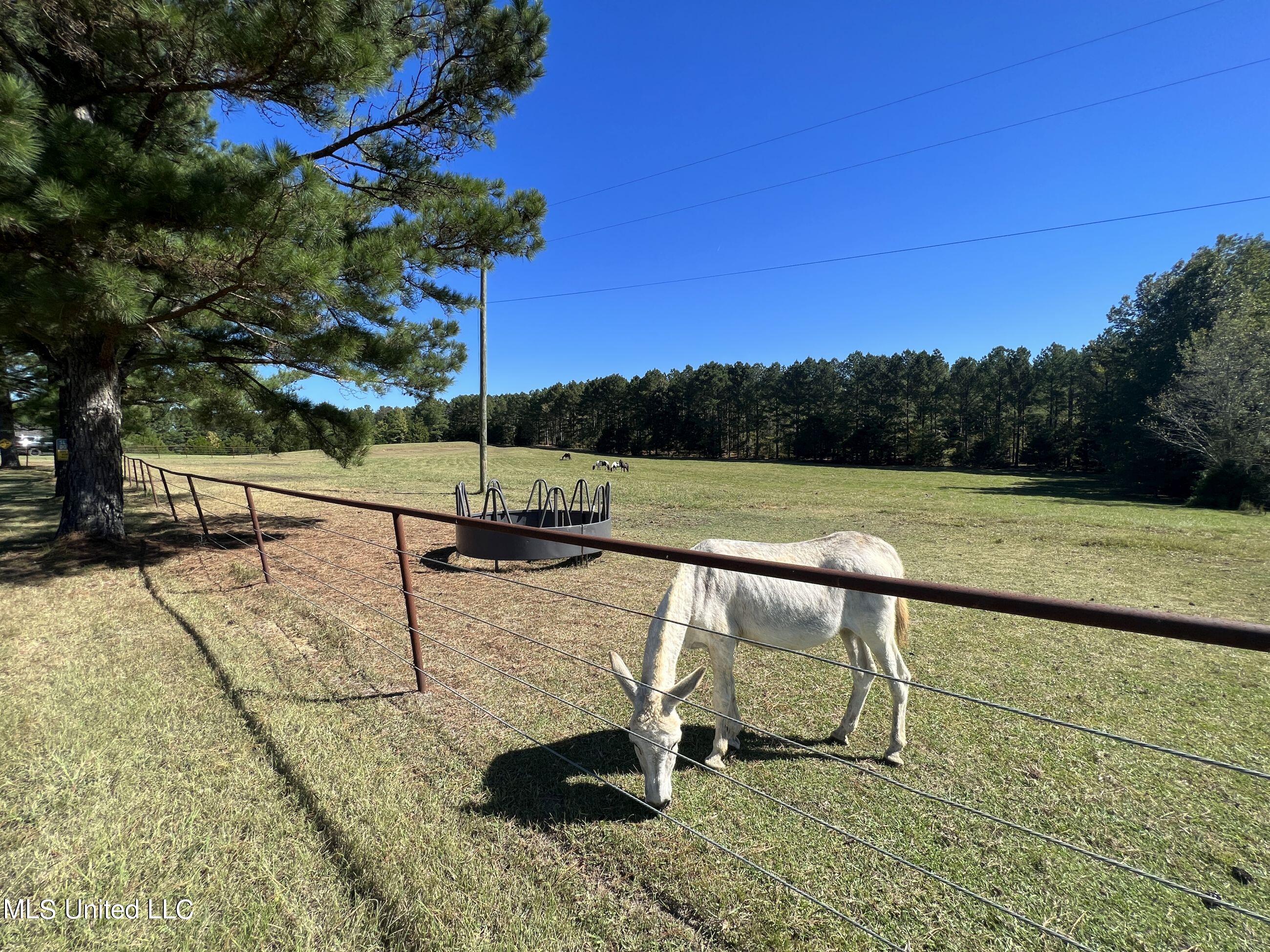 2433 John Branch Road Sardis, MS 38666 - Photo 41 of 172 2dvjb19
