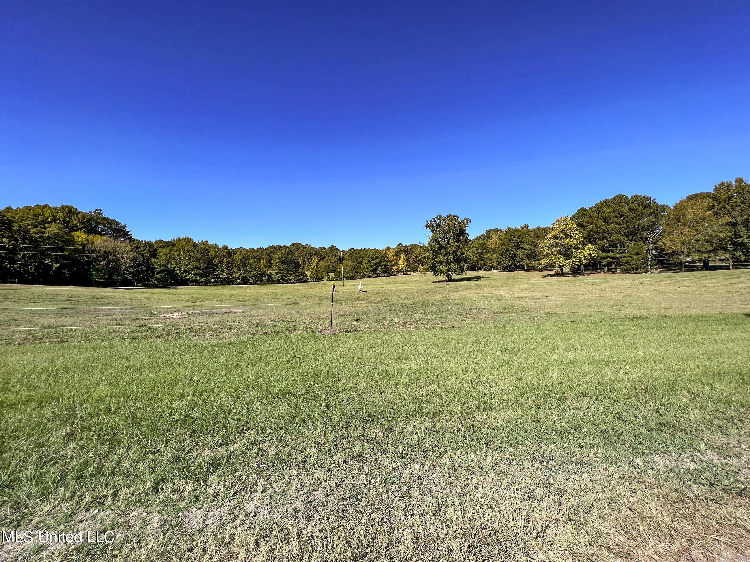 2433 John Branch Road Sardis, MS 38666 - Photo 42 of 172 2dvjb21