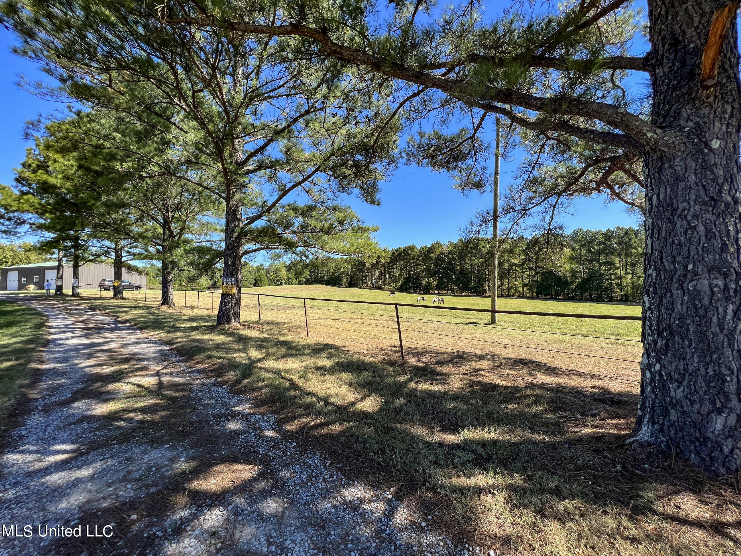 2433 John Branch Road Sardis, MS 38666 - Photo 43 of 172 2dvjb24
