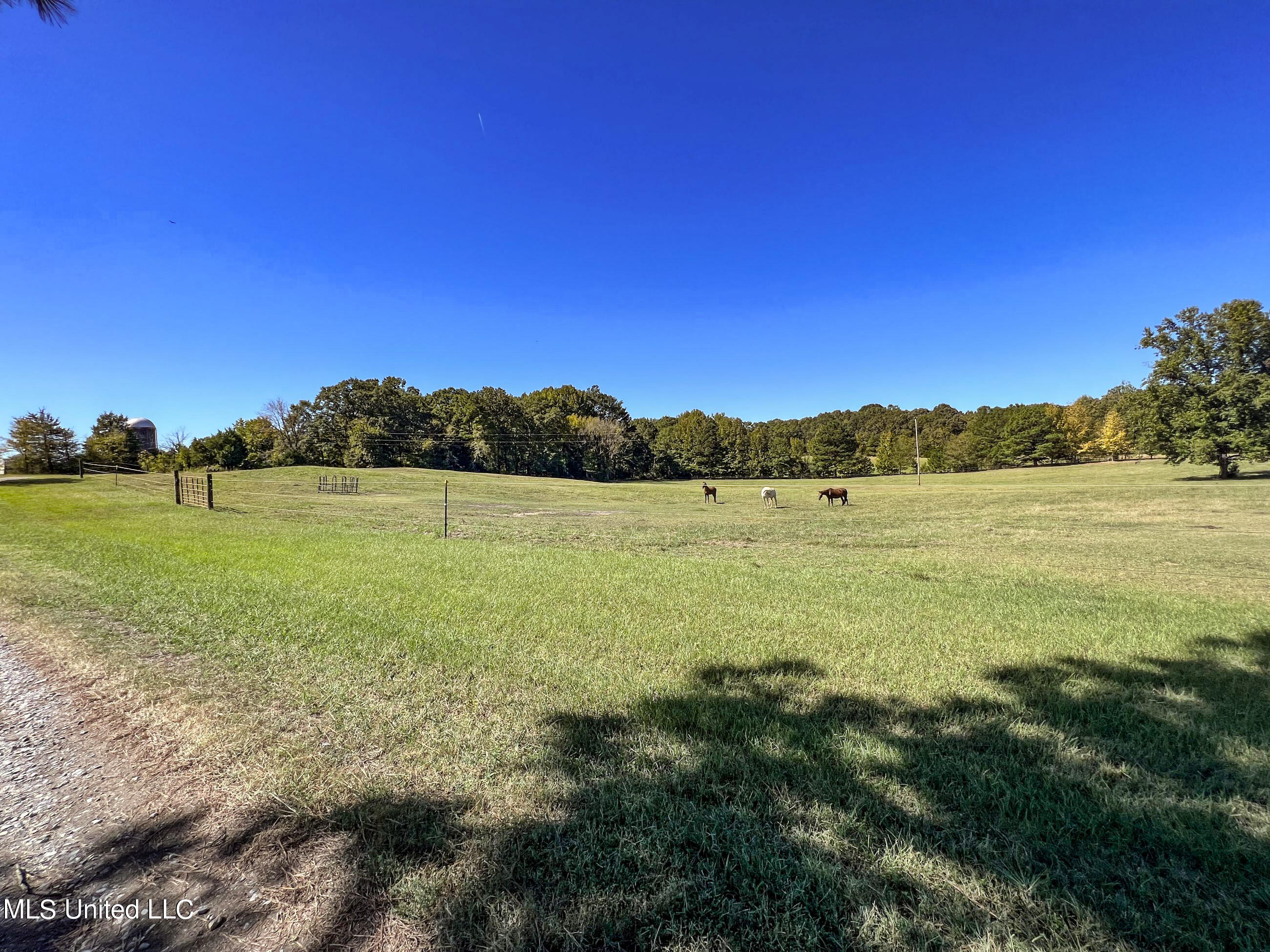 2433 John Branch Road Sardis, MS 38666 - Photo 45 of 172 2dvjb25
