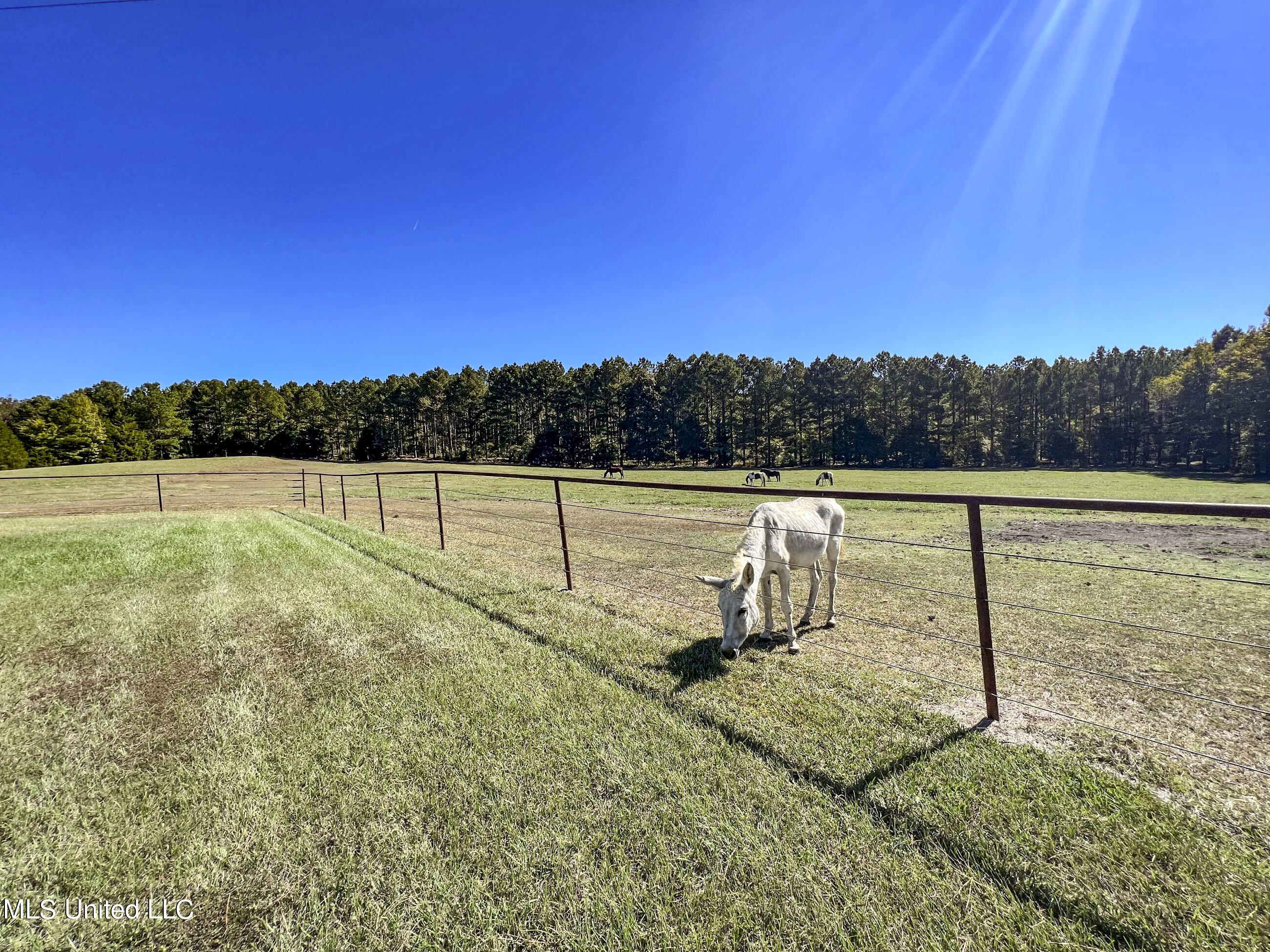 2433 John Branch Road Sardis, MS 38666 - Photo 48 of 172 2dvjb34