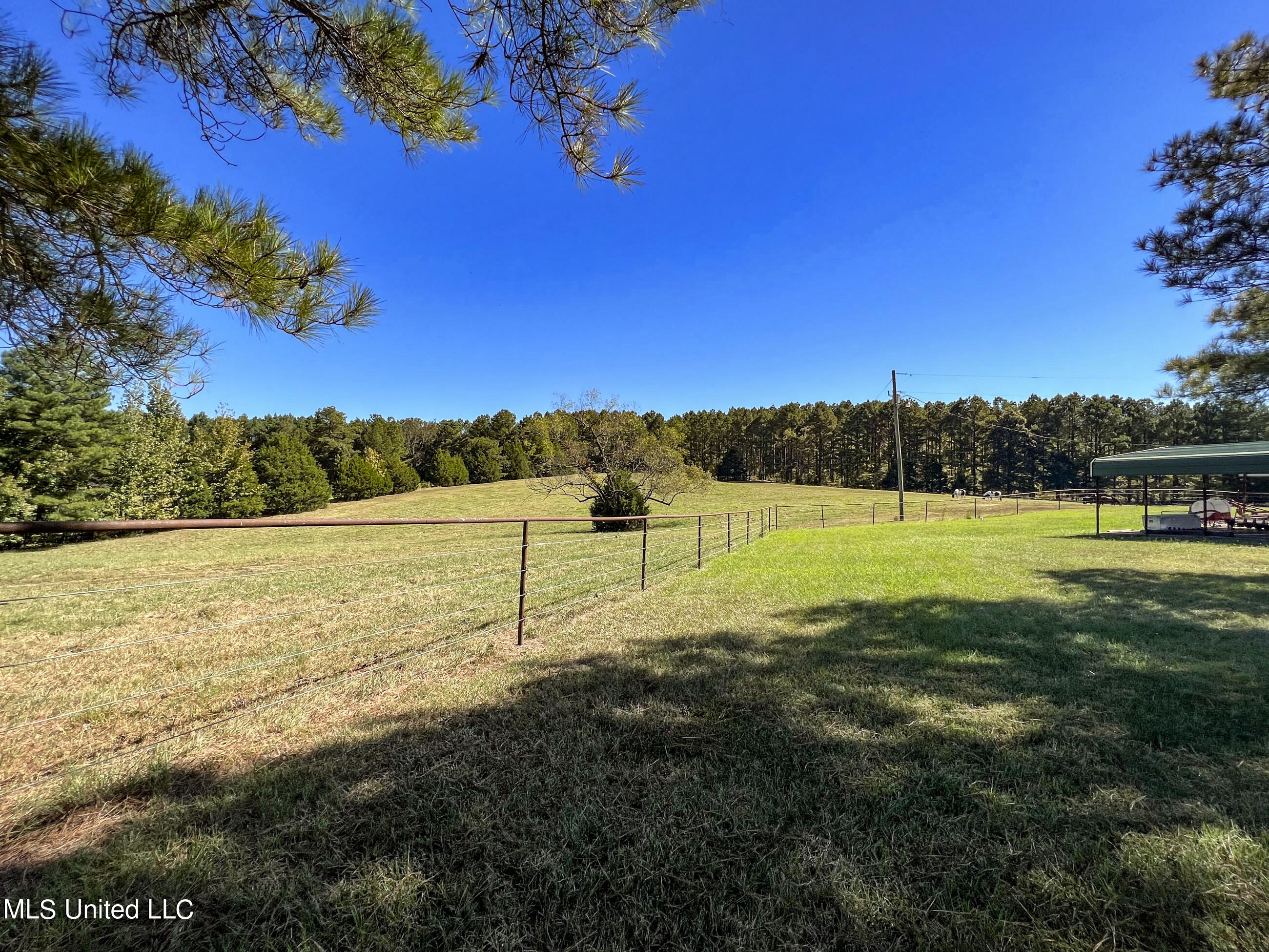 2433 John Branch Road Sardis, MS 38666 - Photo 60 of 172 2dvjb55