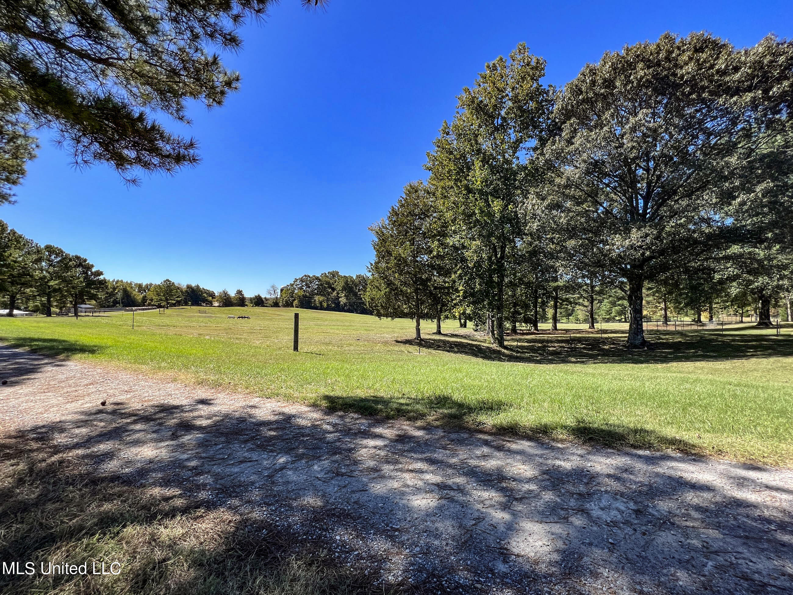 2433 John Branch Road Sardis, MS 38666 - Photo 61 of 172 2dvjb57