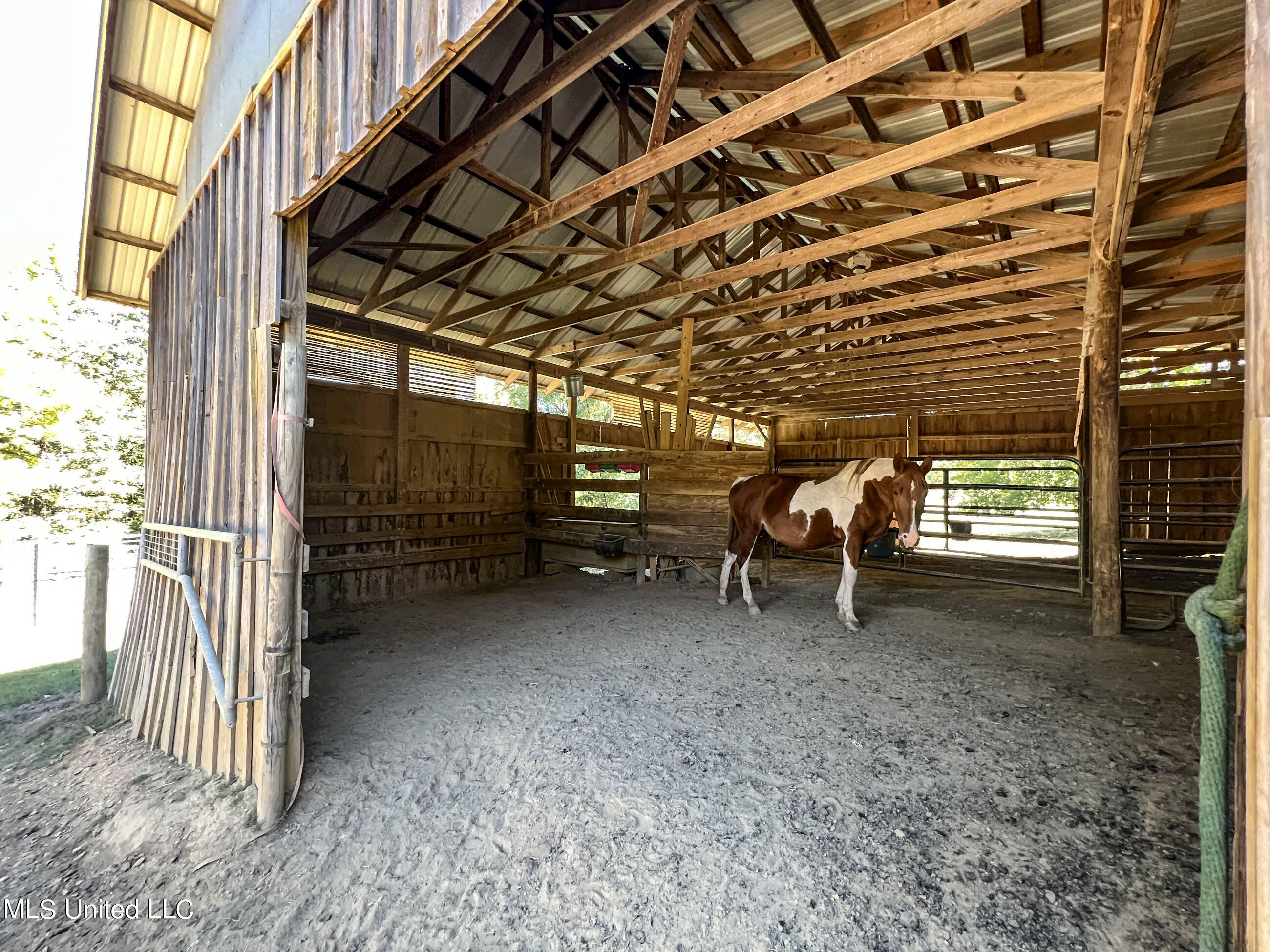 2433 John Branch Road Sardis, MS 38666 - Photo 64 of 172 2dvjb63