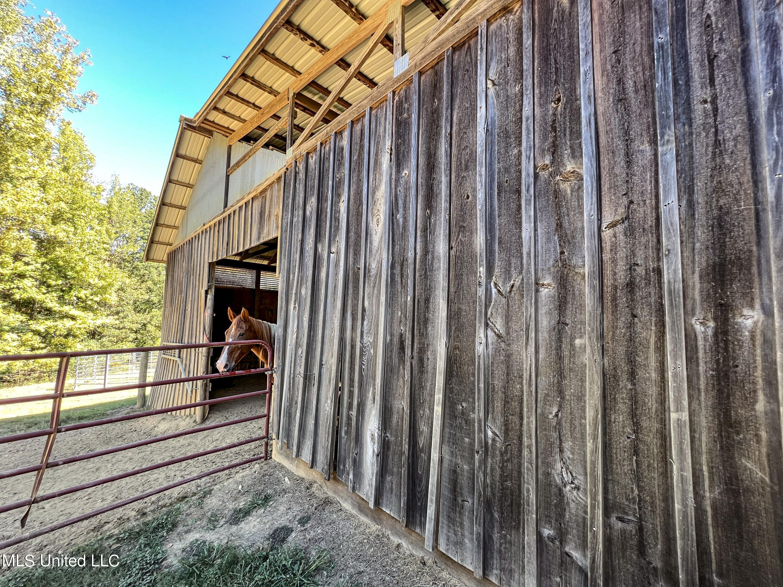2433 John Branch Road Sardis, MS 38666 - Photo 65 of 172 2dvjb70