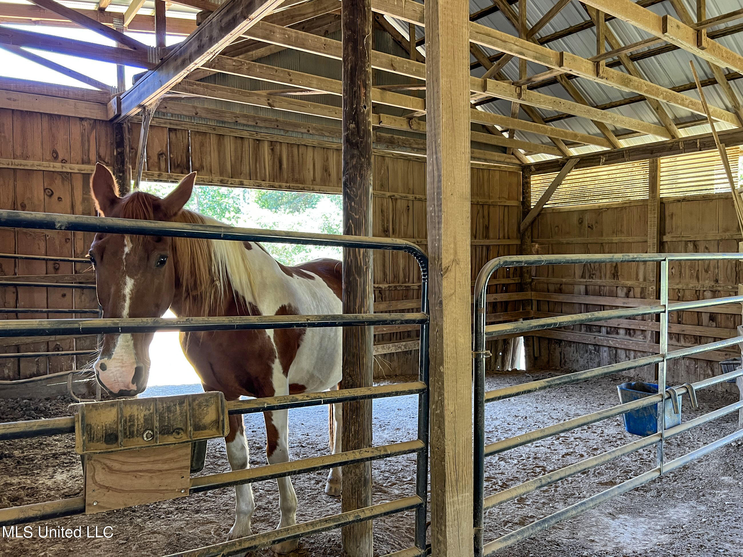 2433 John Branch Road Sardis, MS 38666 - Photo 74 of 172 2dvjb87