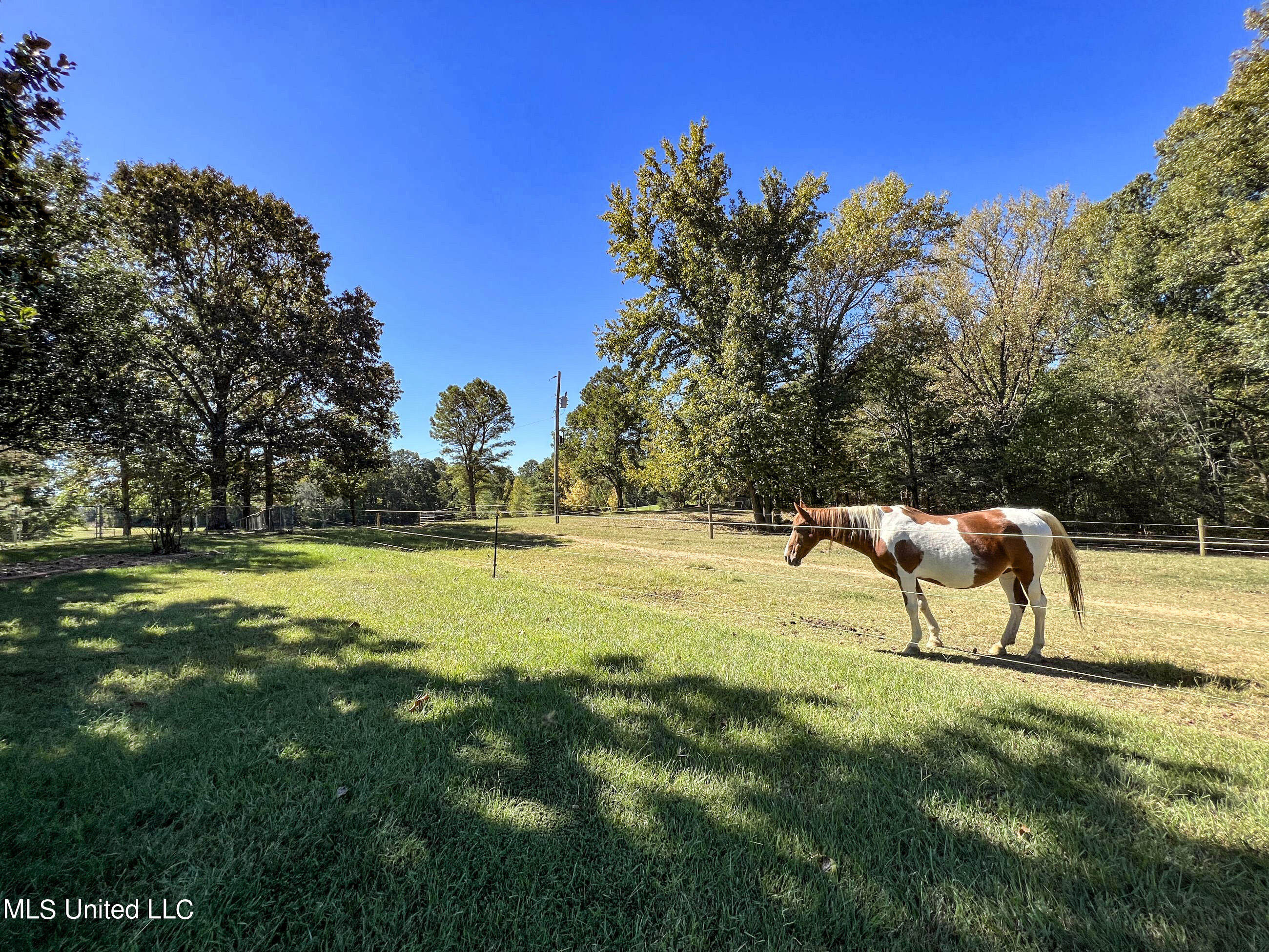 2433 John Branch Road Sardis, MS 38666 - Photo 77 of 172 2dvjb96
