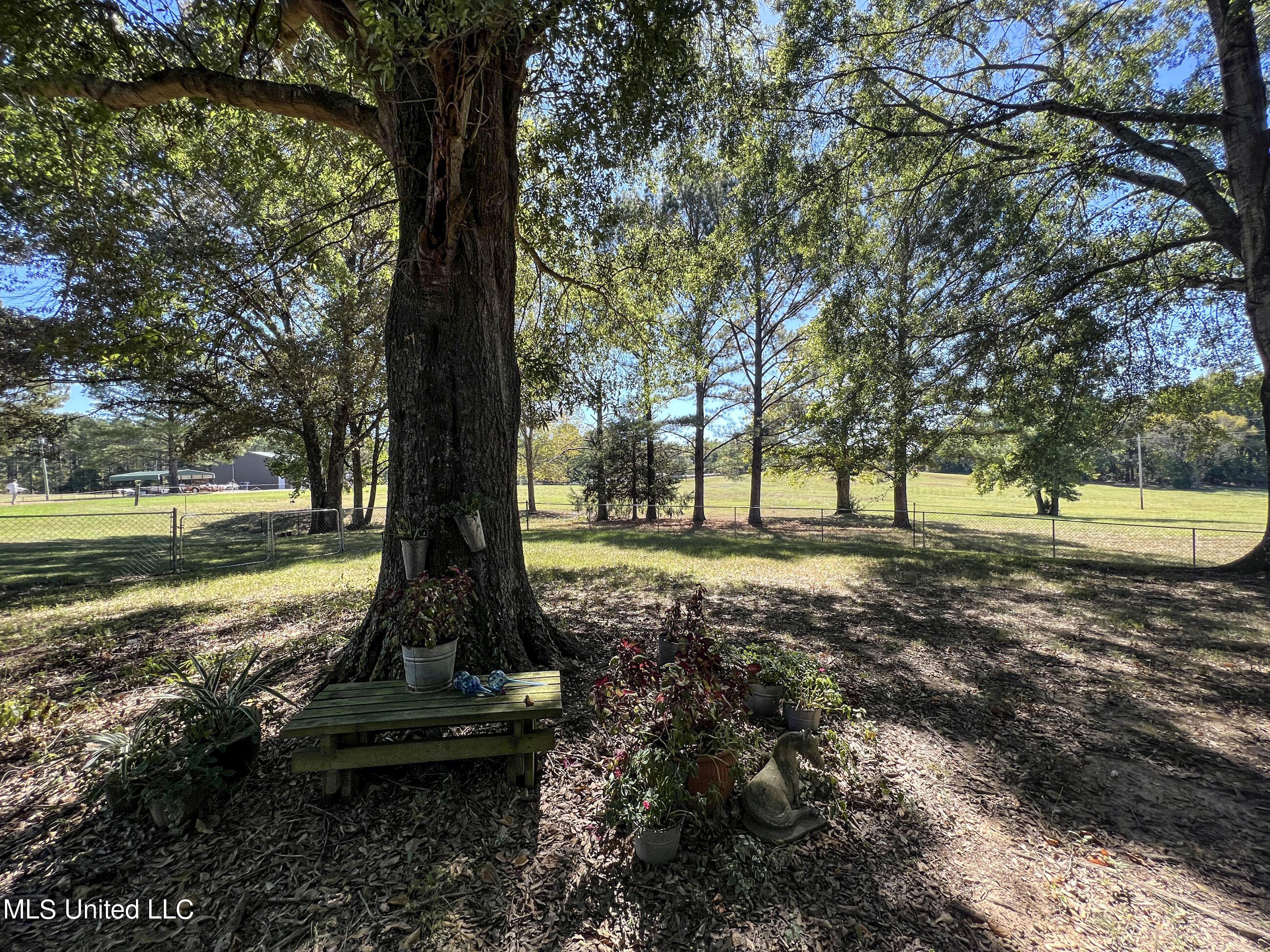 2433 John Branch Road Sardis, MS 38666 - Photo 86 of 172 2dvjb141
