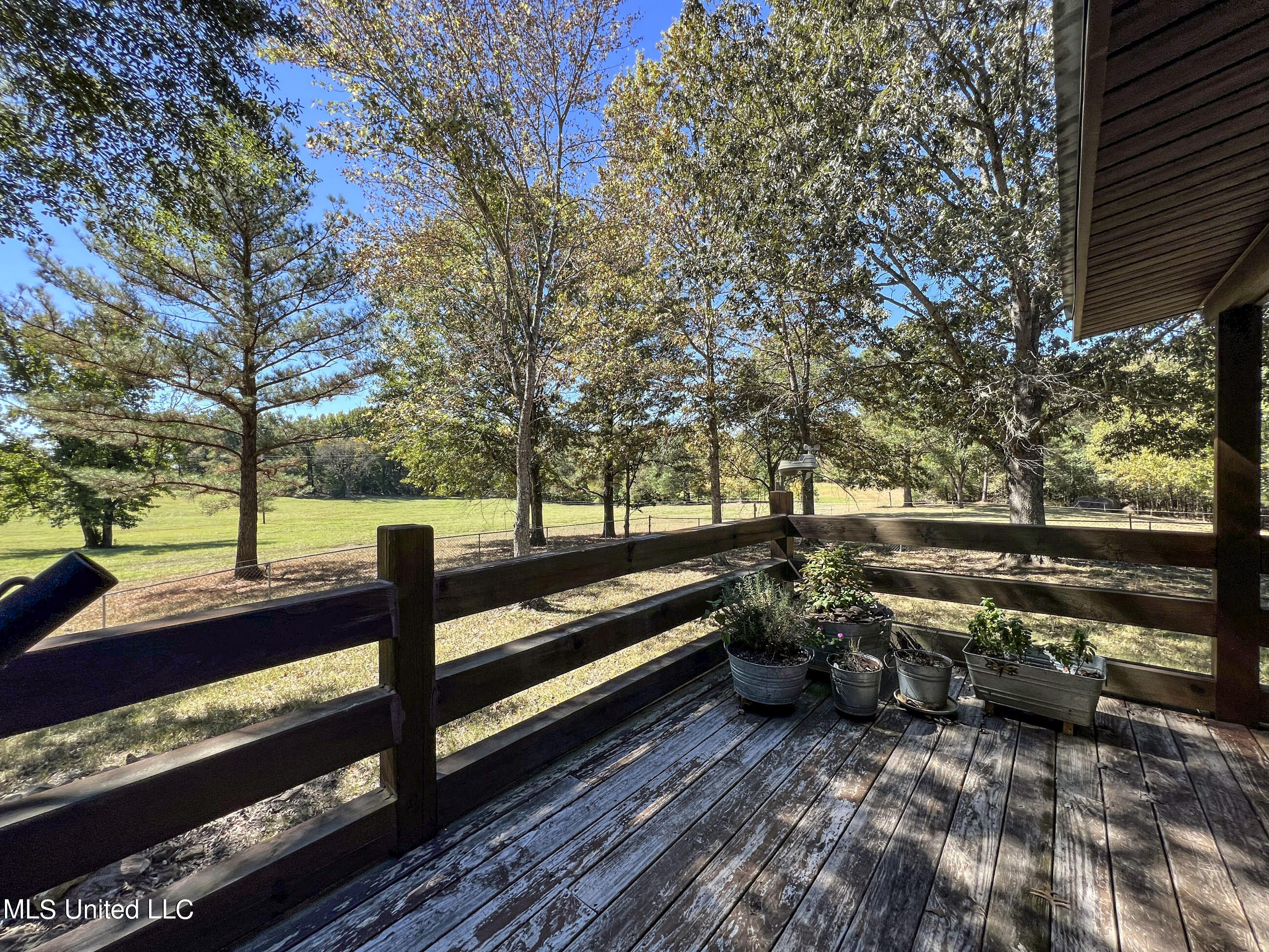 2433 John Branch Road Sardis, MS 38666 - Photo 97 of 172 2dvjb151e2