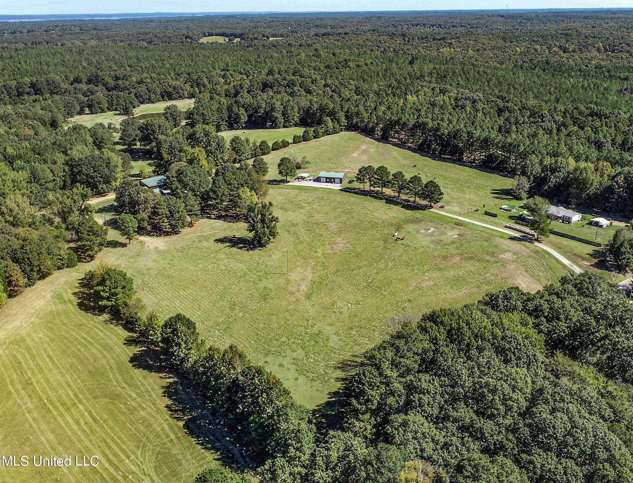 2433 John Branch Road Sardis, MS 38666 - Photo 10 of 172 2.1dvjb8