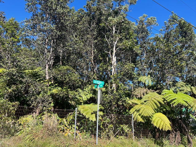671 7th Street Volcano, HI 96785 - Photo 11 of 14 Gallery Image 11