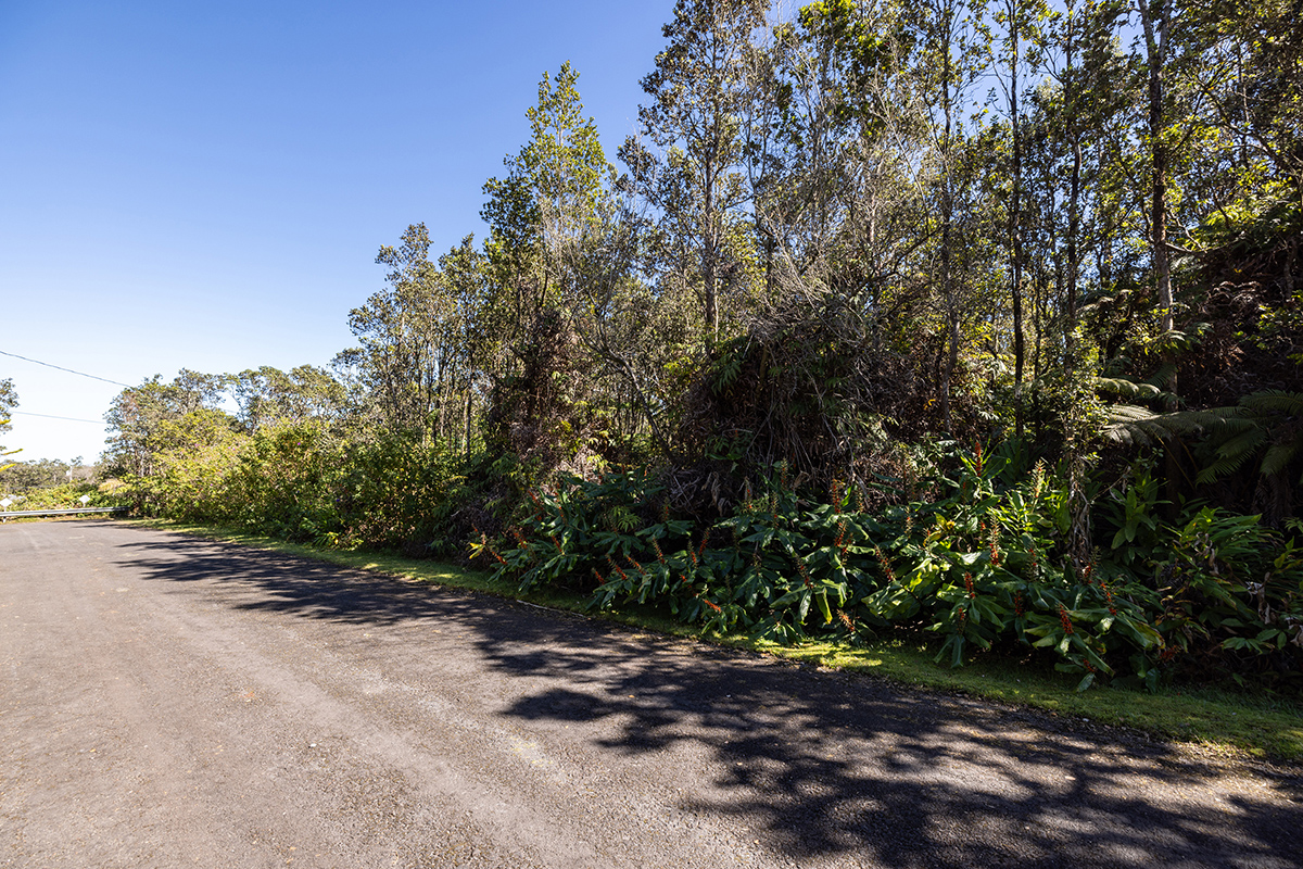 671 7th Street Volcano, HI 96785 - Photo 3 of 14 Gallery Image 3