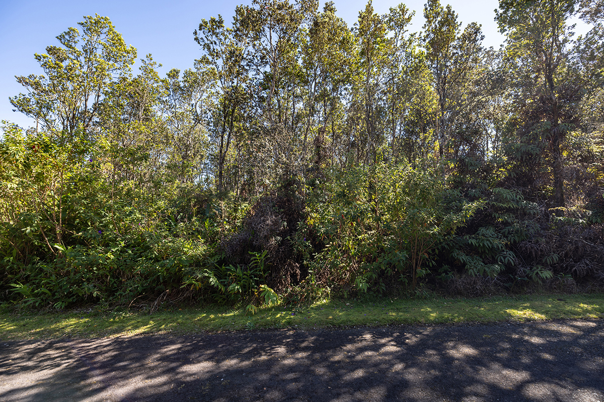 671 7th Street Volcano, HI 96785 - Photo 4 of 14 Gallery Image 4