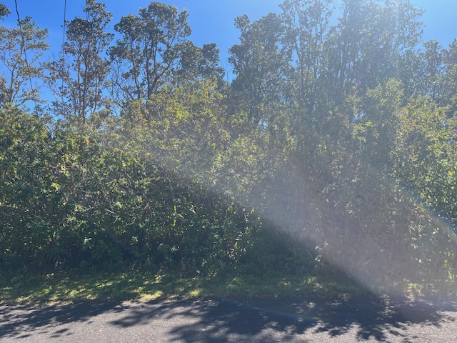 671 7th Street Volcano, HI 96785 - Photo 6 of 14 Gallery Image 6