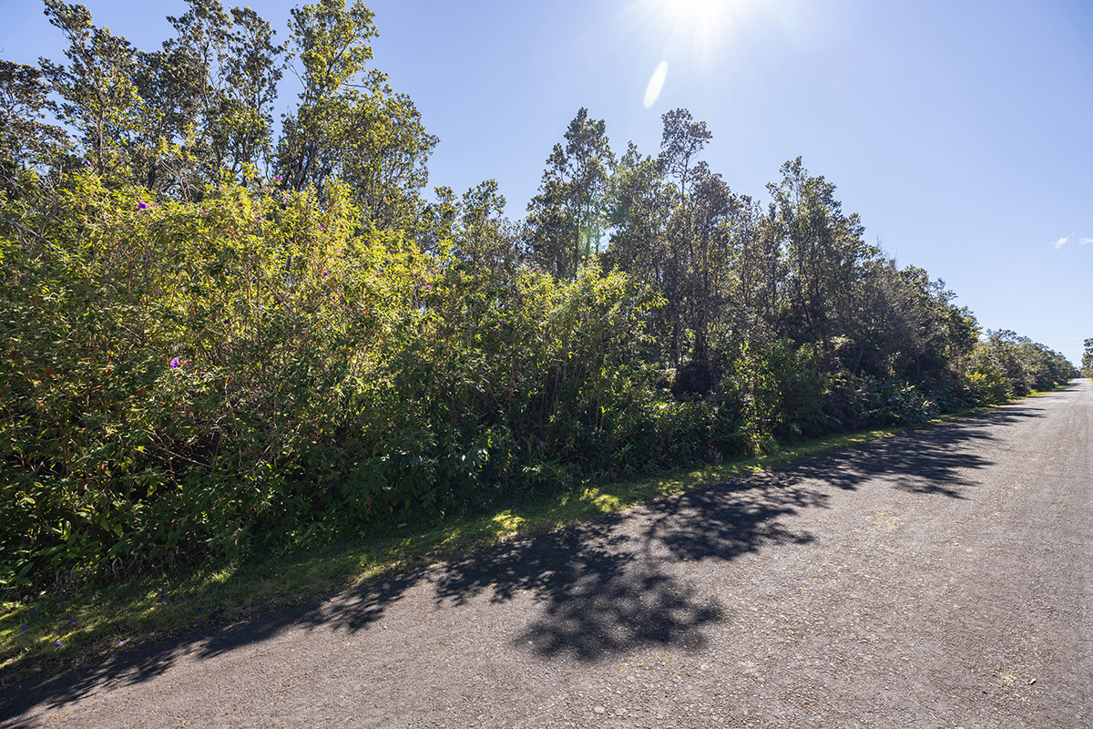 671 7th Street Volcano, HI 96785 - Photo 7 of 14 Gallery Image 7