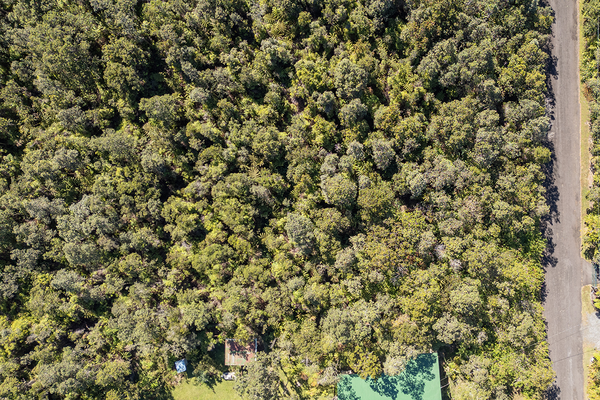 671 7th Street Volcano, HI 96785 - Photo 10 of 14 Gallery Image 10