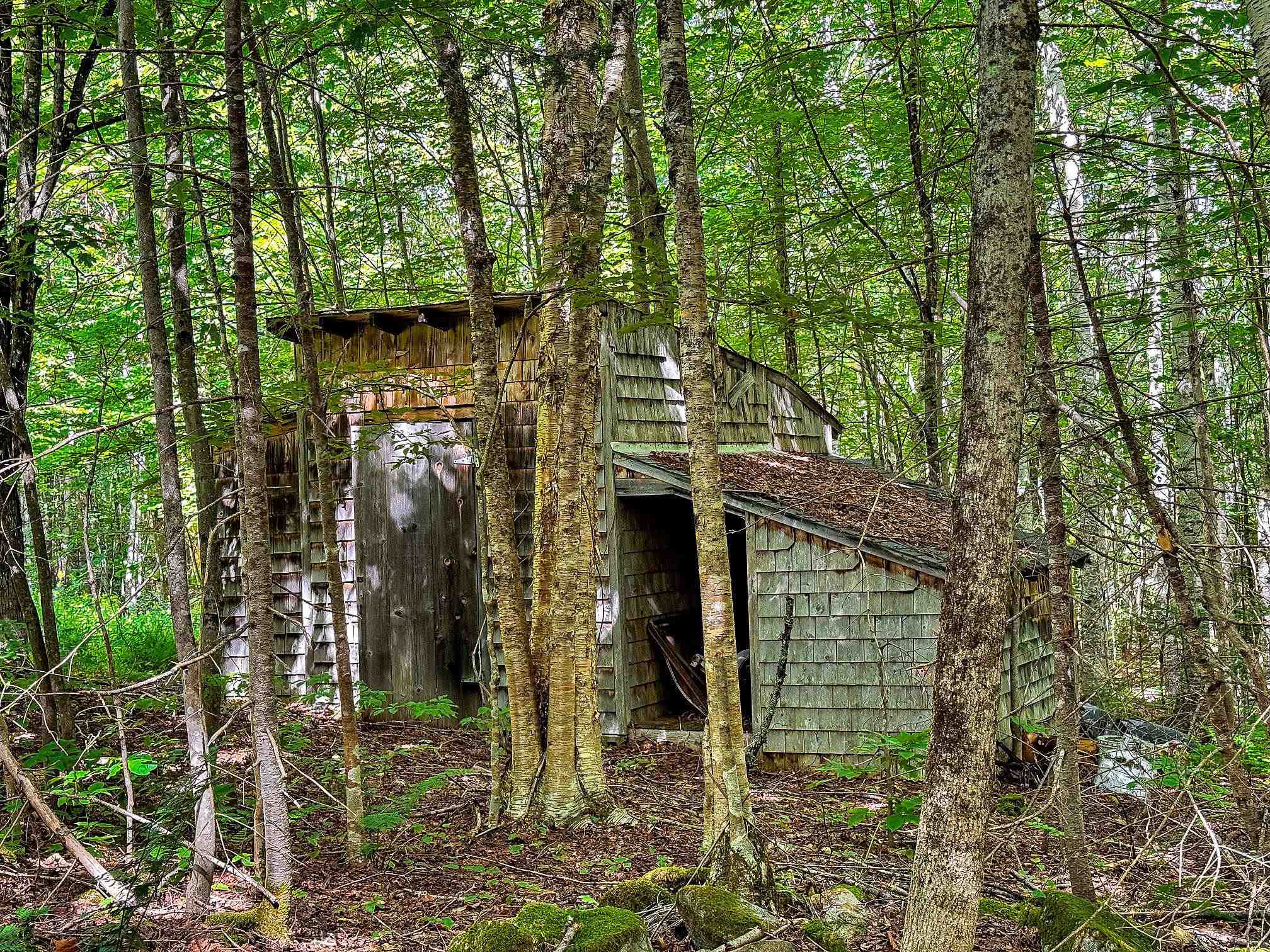 1832 Kinney Hill Road Newark, VT 05871 - Photo 6 of 13 Gallery Image 6