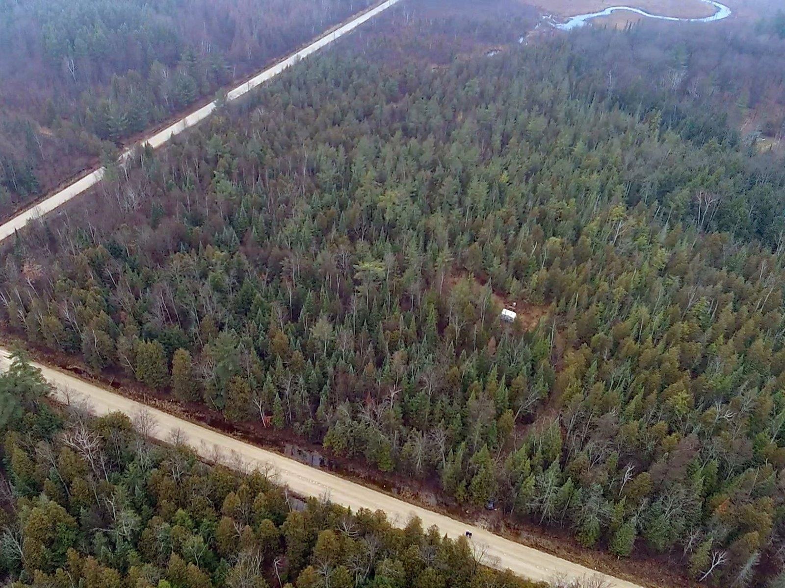 V/l South 27 Road Cadillac, MI 49601 - Photo 20 of 24