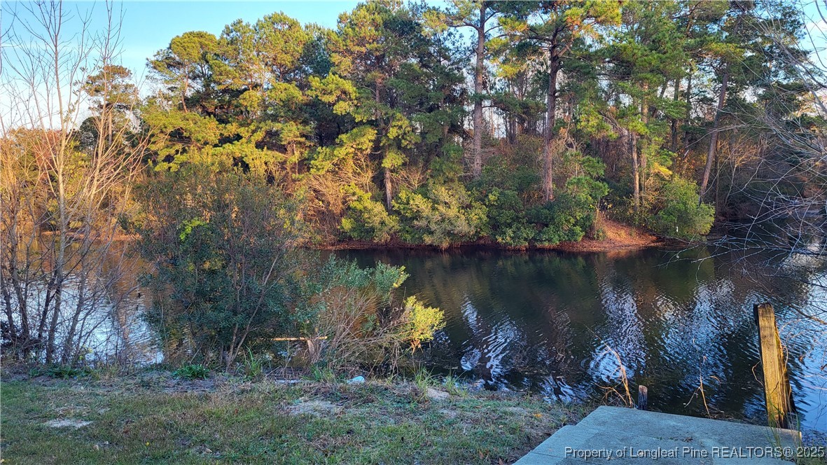 1790 Rozier Church Road Lumberton, NC 28360 - Photo 12 of 12 a view of a lake with a tree