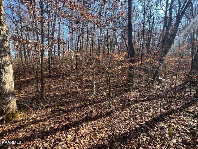 41 Athens Road Delano, TN 37325 - Photo 8 of 34