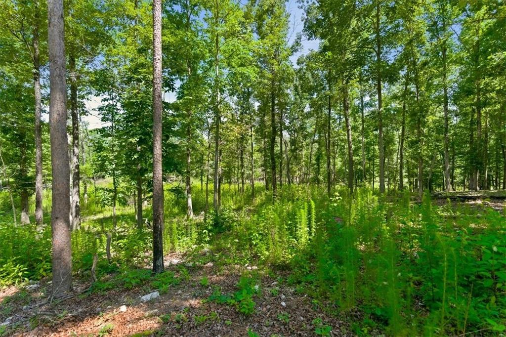 0 Williams Road Southeast Silver Creek, GA 30173 - Photo 21 of 35