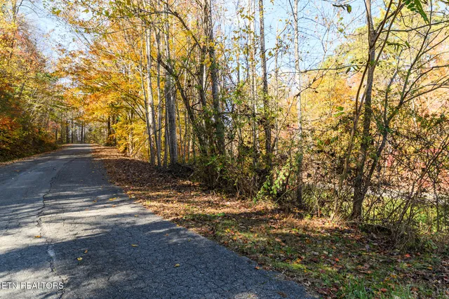$27,000 | Lot 1 Jones Cove Road, Cosby, TN 37722