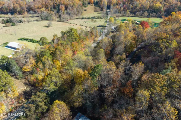 $27,000 | Lot 1 Jones Cove Road, Cosby, TN 37722