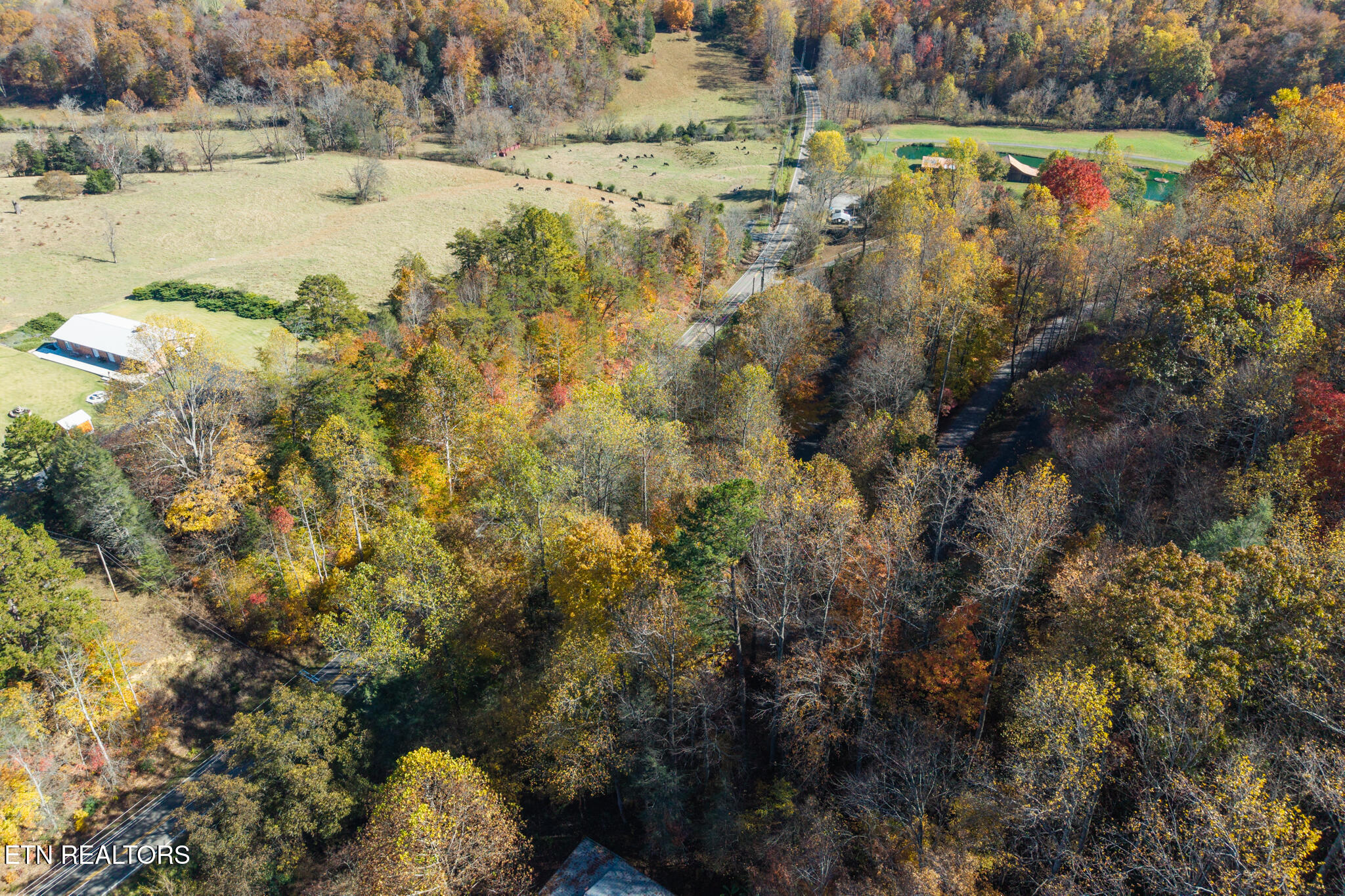 Lot 1 Jones Cove Road Cosby, TN 37722 - Photo 11 of 23 JCR-11