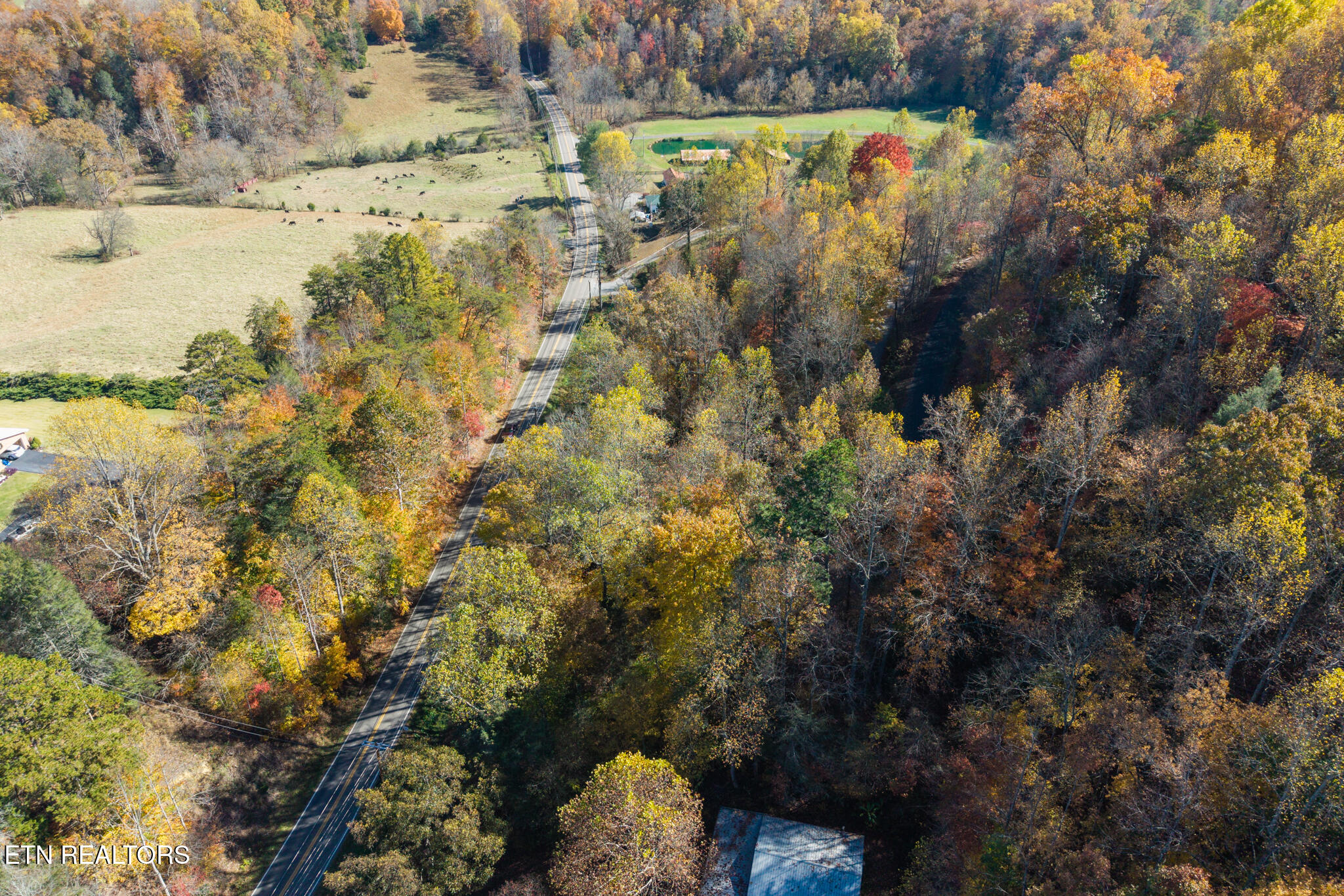 Lot 1 Jones Cove Road Cosby, TN 37722 - Photo 12 of 23 JCR-12