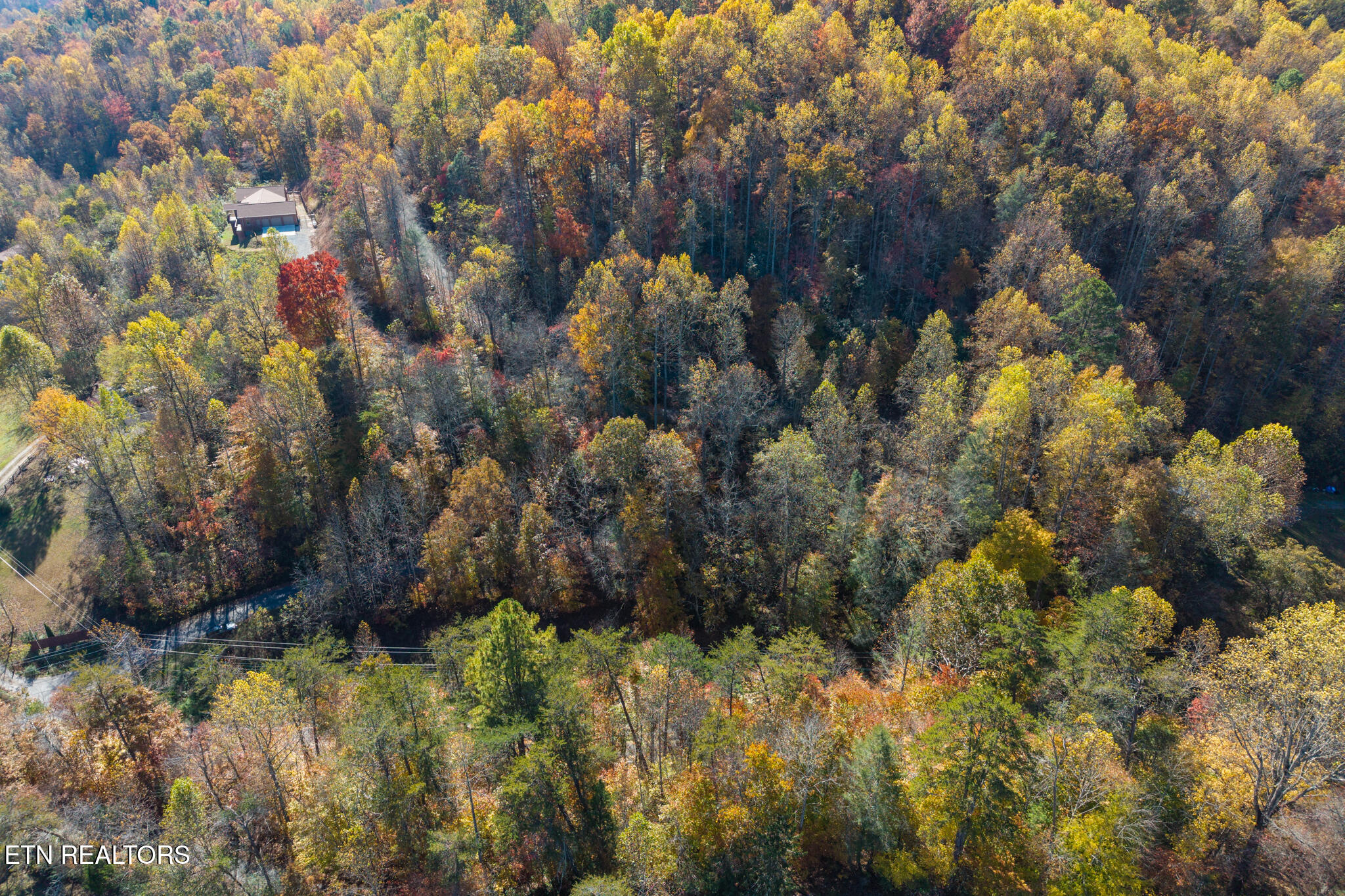 Lot 1 Jones Cove Road Cosby, TN 37722 - Photo 14 of 23 JCR-14