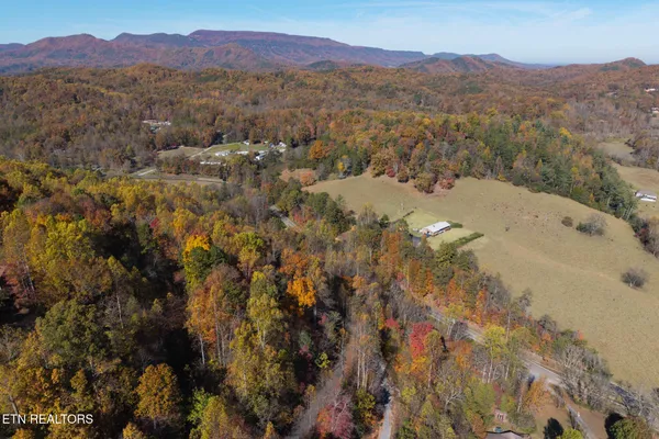 $27,000 | Lot 1 Jones Cove Road, Cosby, TN 37722