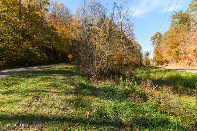 $27,000 | Lot 1 Jones Cove Road, Cosby, TN 37722