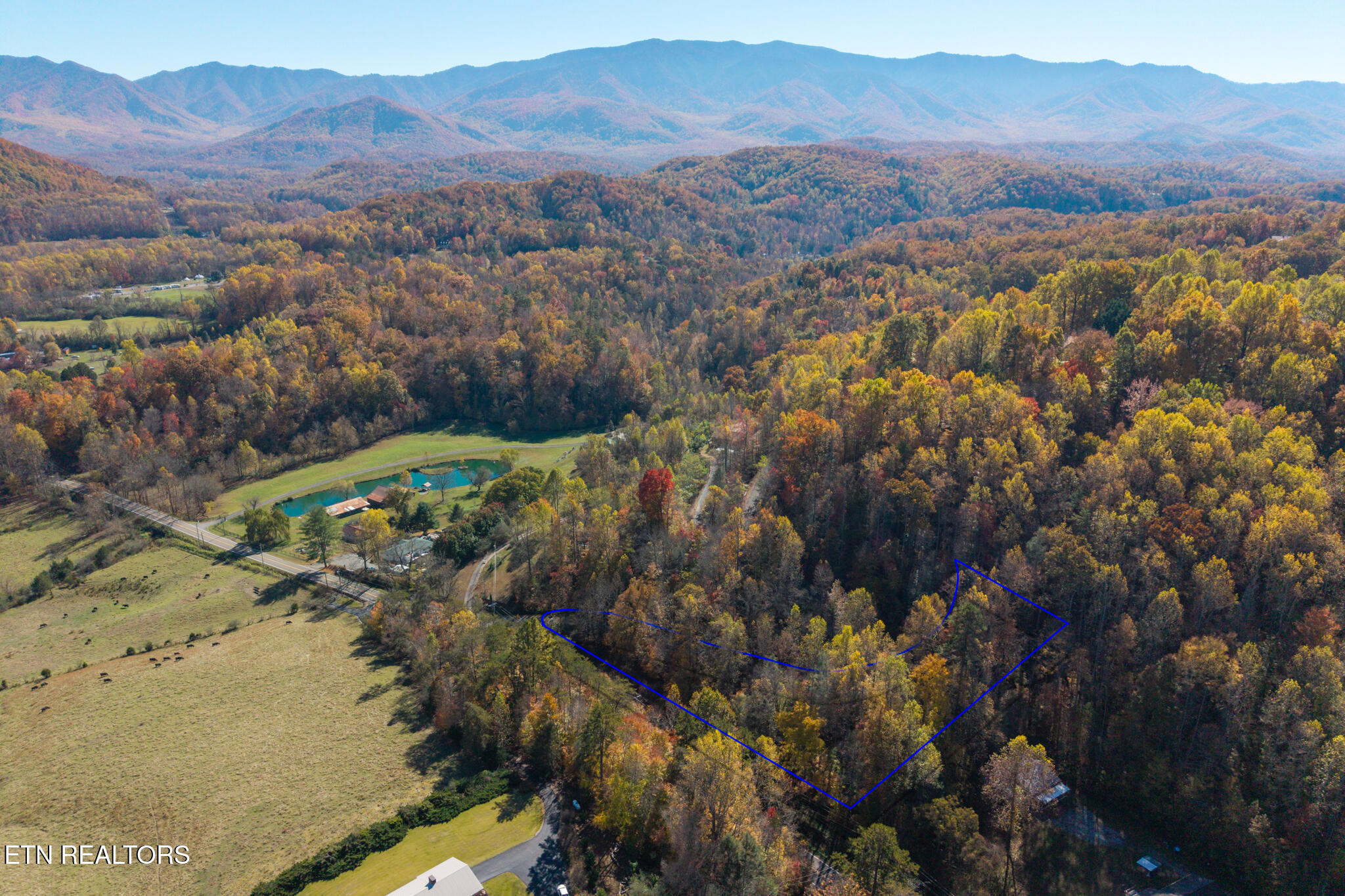 Lot 1 Jones Cove Road Cosby, TN 37722 - Photo 21 of 23 JCR-21